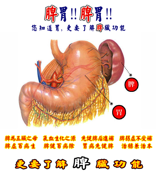 健脾寶 Spleenex