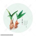 天竺黄 Herbs 52008
