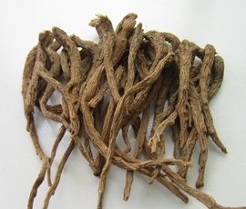 归尾 (1gm) Angelica Sinensis Diels  50715