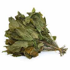 人参叶 (1gm) Ginseng Leaf 51802