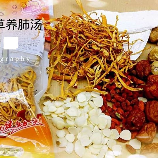 虫草补肺汤 Cordyceps Bu Fei Herbal Soup 00946