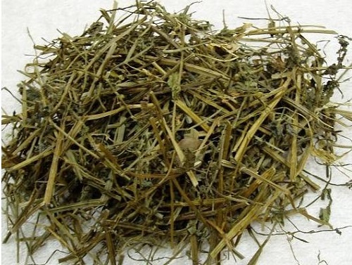 半枝莲 (1gm) Scutellaria Barbata  50227