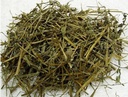 半枝莲 (1gm) Scutellaria Barbata  50227
