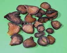 川乌 (1gm) Aconitum carmichaelii / Radix  50310