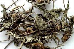 车前草 (1gm) Herba Plantaginis 50319