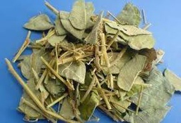 金钱草 (1gm) Herbal Lysimachiae 51004